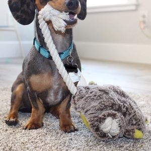 Meet your Posher, Danelle